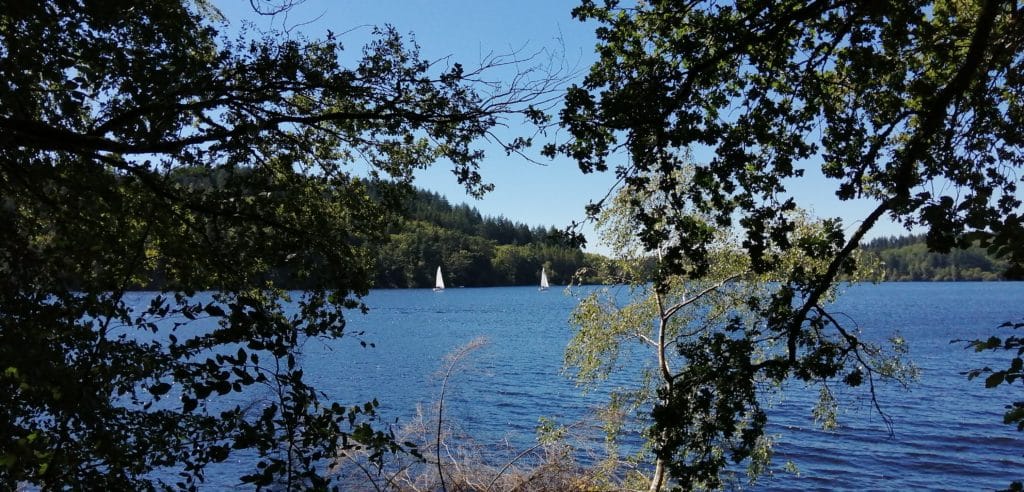 Vue d'un lac derrière des feuillages